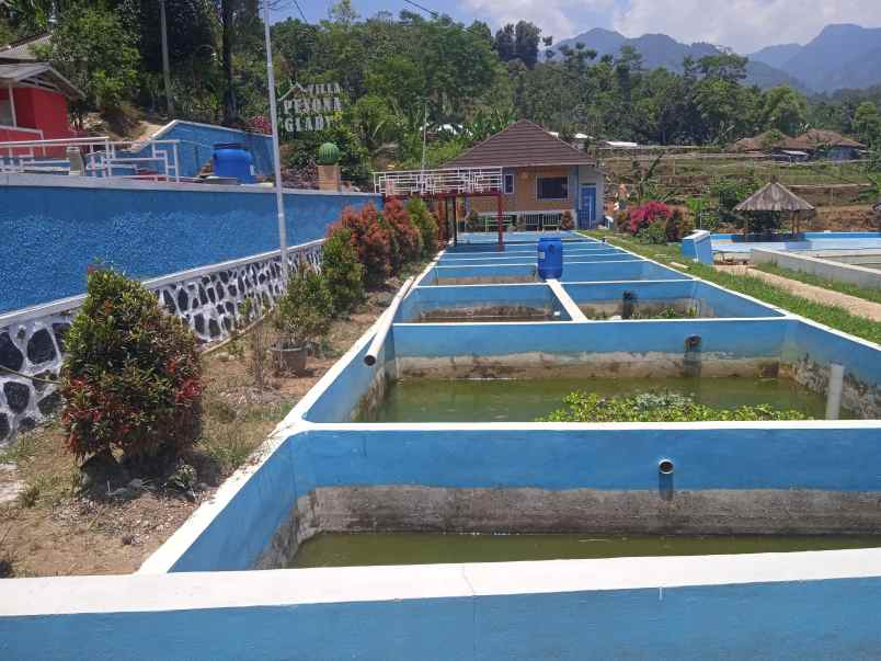 jual 3 unit villa kolam budidaya ikan kolam renang