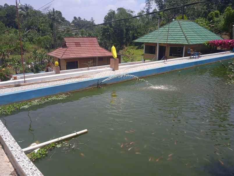 jual 3 unit villa kolam budidaya ikan kolam renang