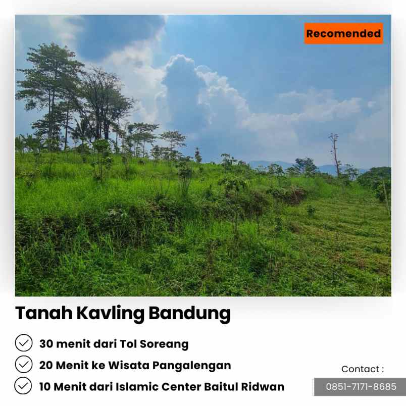 jual kebun cengkeh 200 pohon