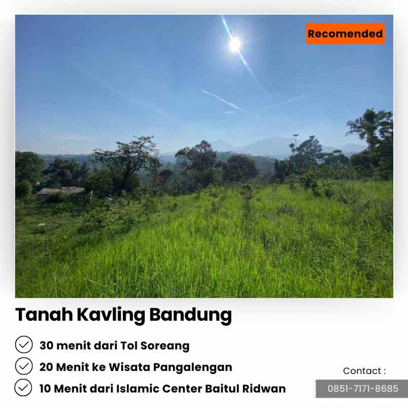 jual kebun cengkeh 200 pohon