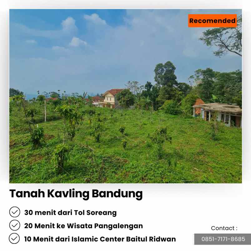 jual kebun cengkeh 200 pohon