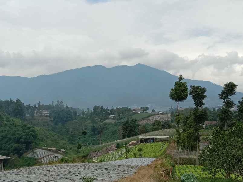 jual tanah dekat stasiun kererta cepat padalarang