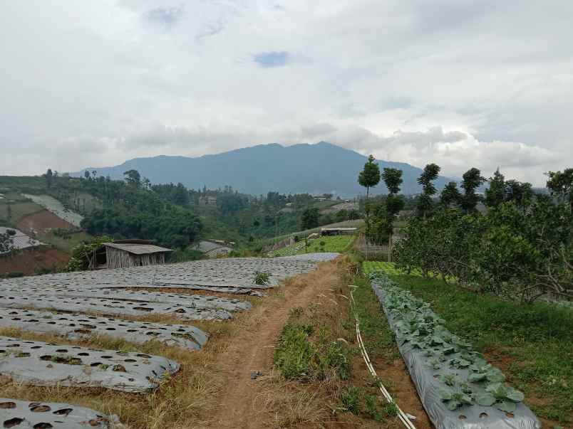 jual tanah dekat stasiun kererta cepat padalarang