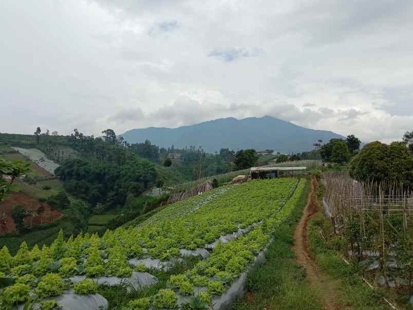 jual tanah dekat stasiun kererta cepat padalarang