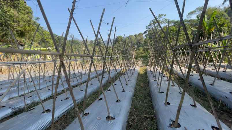 jual tanah di pedesaan udara cukup dingin