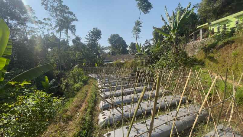 jual tanah di pedesaan udara cukup dingin