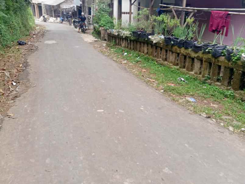 jual tanah kebun ples sawah