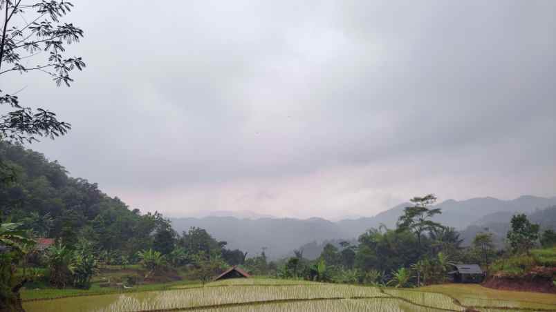 jual tanah kebun ples sawah