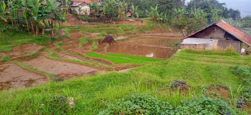 jual tanah kebun ples sawah