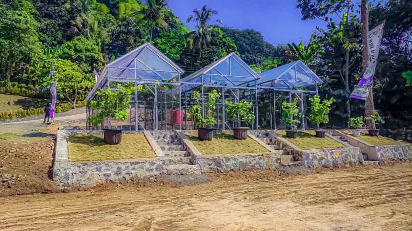 jual tanah murah kavling kebun anggur kavling wisata