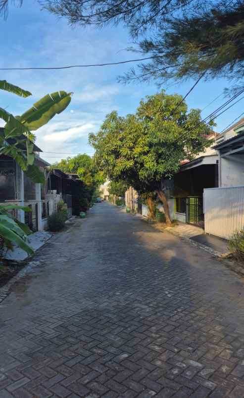 minimalis modern grand semanggi residence bebas banjir