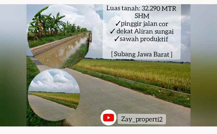 sawah produktif daerah subang jawa barat