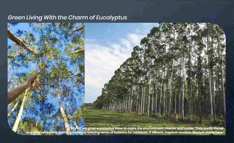 skyhill dago bandung rumah kos dengan rental guarantee