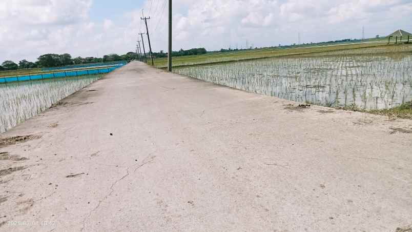 tanah 50 hektar cikarang bekasi