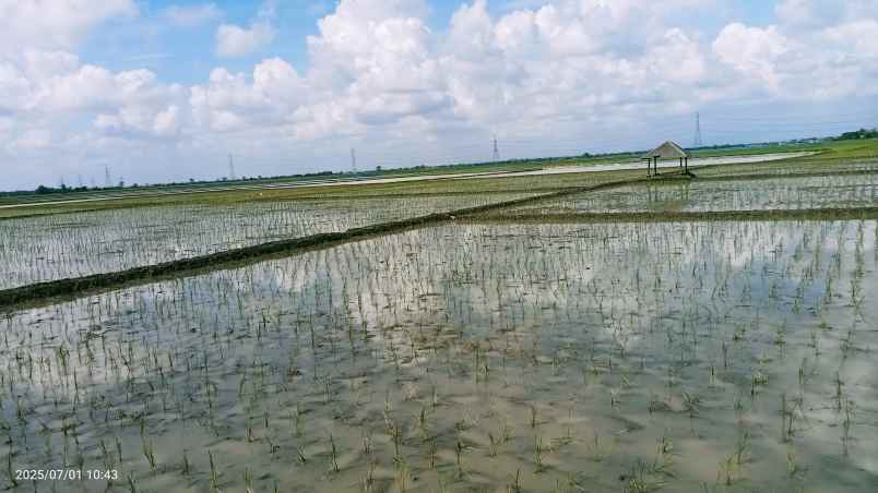 tanah 50 hektar cikarang bekasi