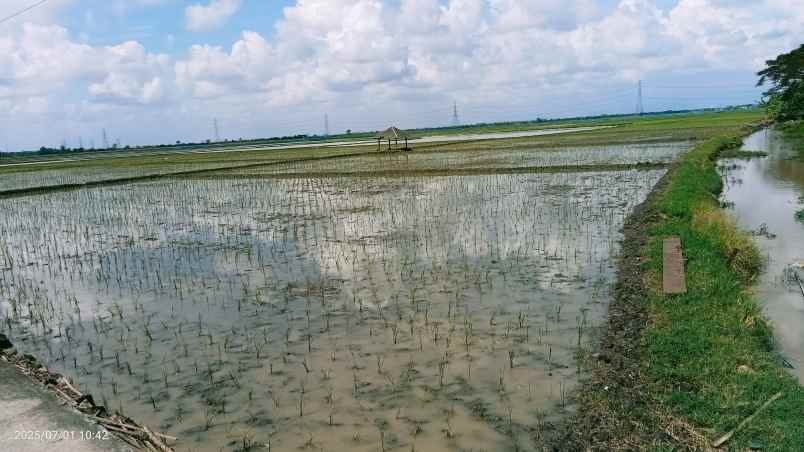 tanah 50 hektar cikarang bekasi