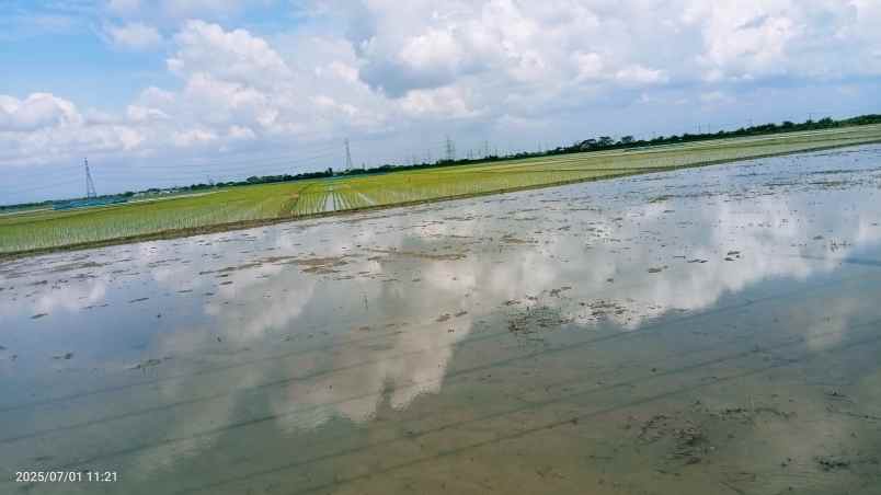 tanah 50 hektar cikarang bekasi