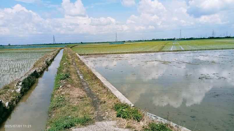 tanah 50 hektar cikarang bekasi