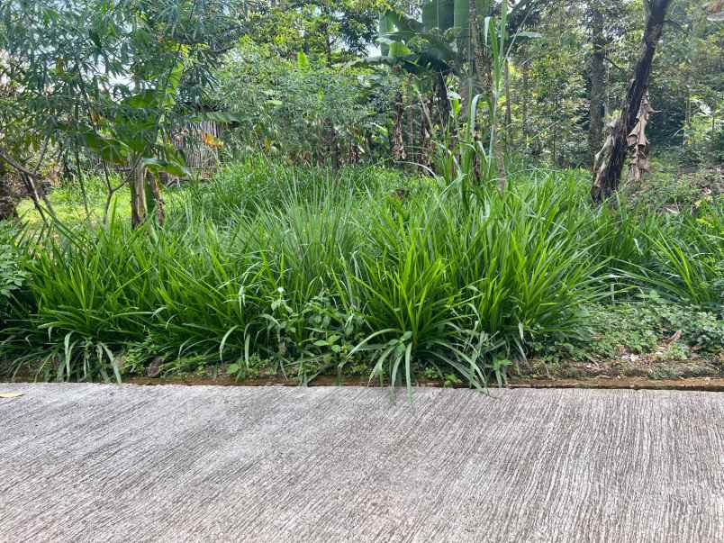 tanah 800m dekat sungai kemuning