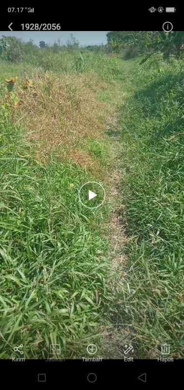 tanah bekas kolam diarea persawahan