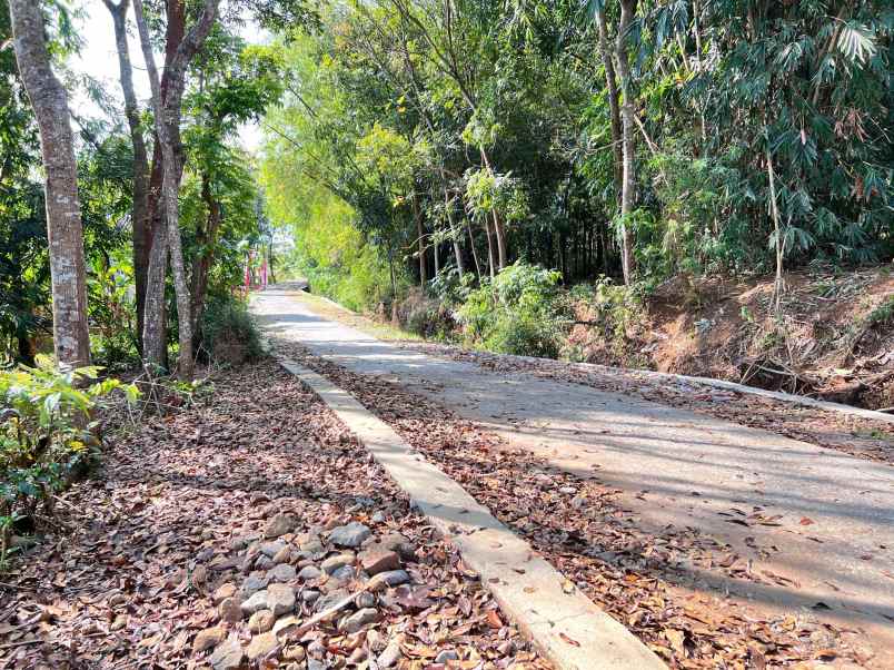 tanah datar 800m 250 juta mojogedang karanganyar