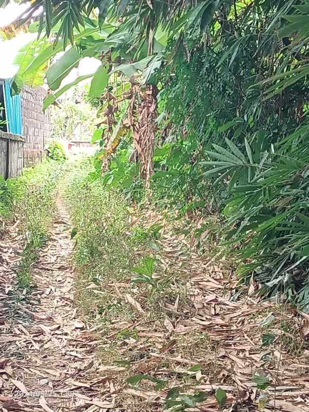 tanah di kaba kaba hanya 15 menit ke canggu bali