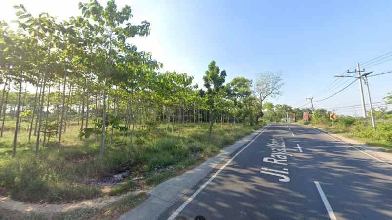 tanah industri pergudangan raya mantup lamongan