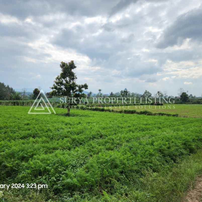 tanah jalan sukanalu barusjahe karo sumatera utara