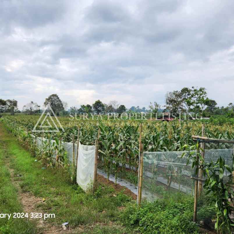 tanah jalan sukanalu barusjahe karo sumatera utara