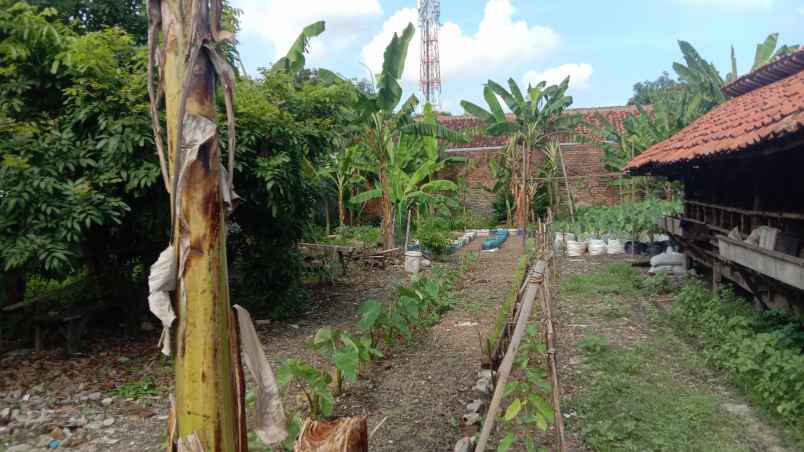 Tanah Murah Dekat Kota Di Kedawung Cirebon