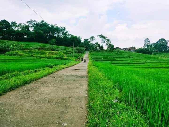 tanah karangpandan karanganyar