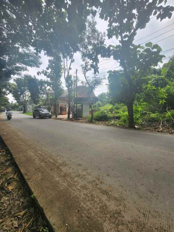 tanah mangunharjo raya tembalang semarang