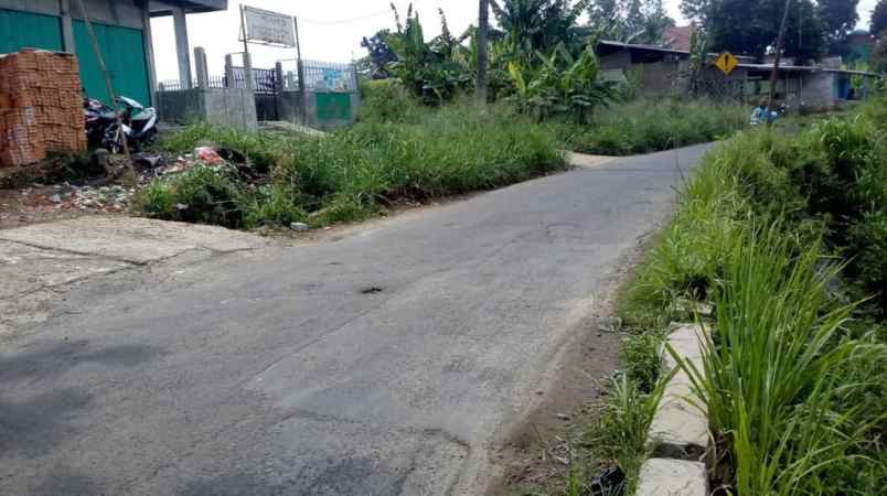 tanah murah ciampea bogor kebun alpukat shm