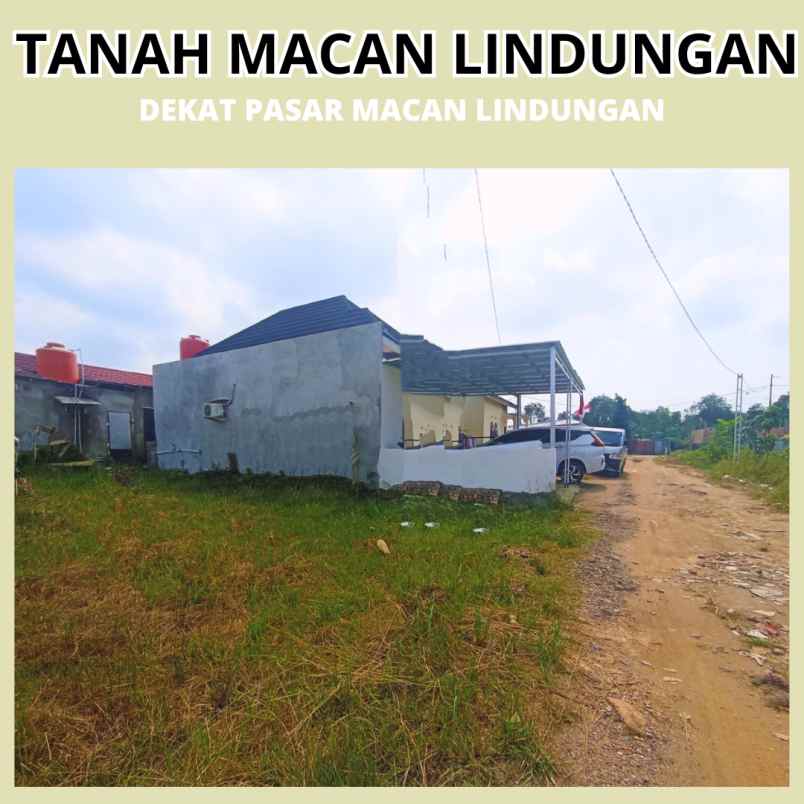 tanah murah dekat pasar macan lindungan