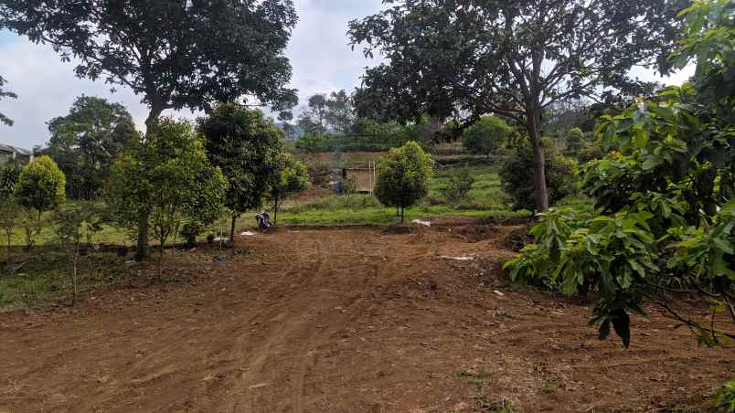 tanah murah di cijeruk bogor view indah pegunungan