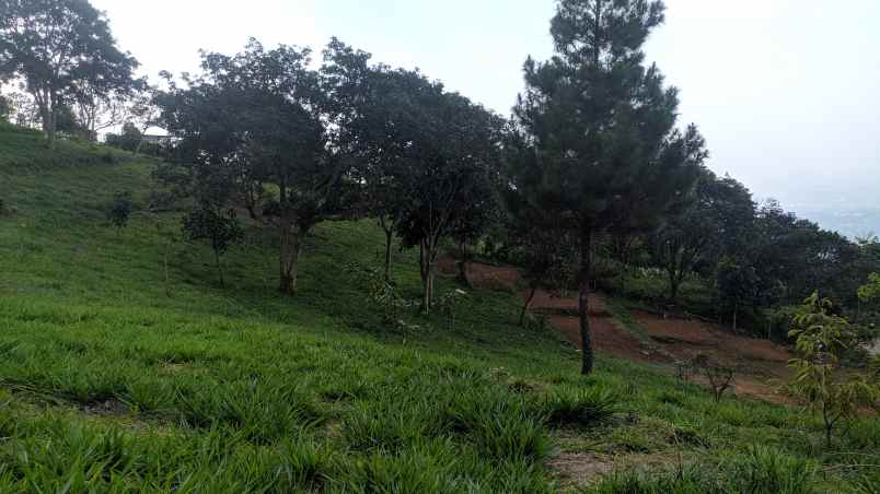 tanah murah di cijeruk bogor view indah pegunungan