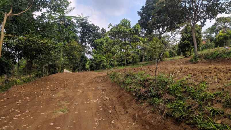 tanah murah di cijeruk bogor view indah pegunungan