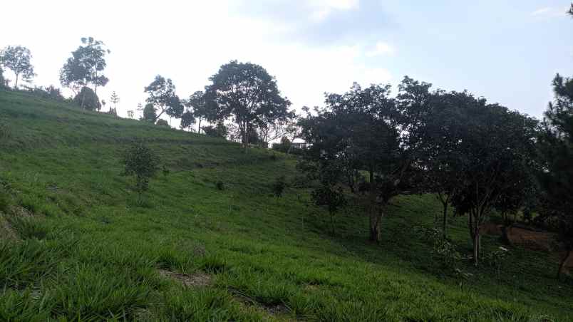 tanah murah di cijeruk bogor view indah pegunungan