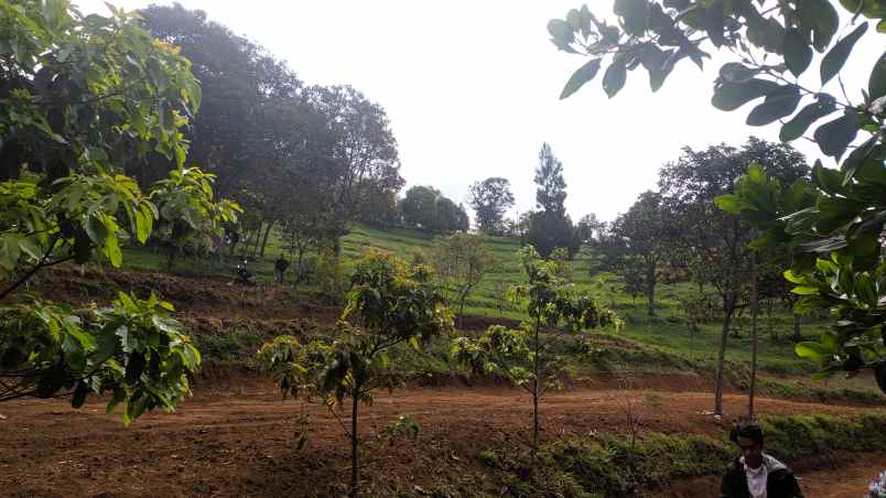 tanah murah di cijeruk bogor view indah pegunungan