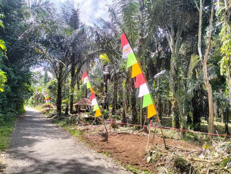 tanah murah pinggir jalan aspal dan dekat pemukiman