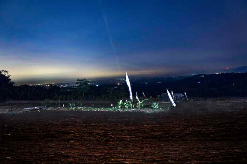 tanah murah tanah wisata kebun anggur