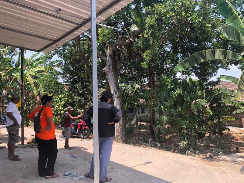 tanah pekarangan padat penduduk di kedungudi trawas