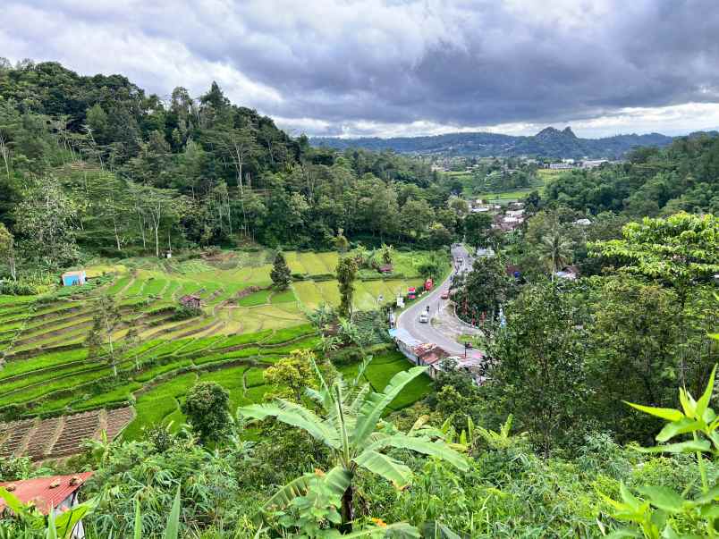 tanah strategis tepi jl raya tawangmangu karanganyar