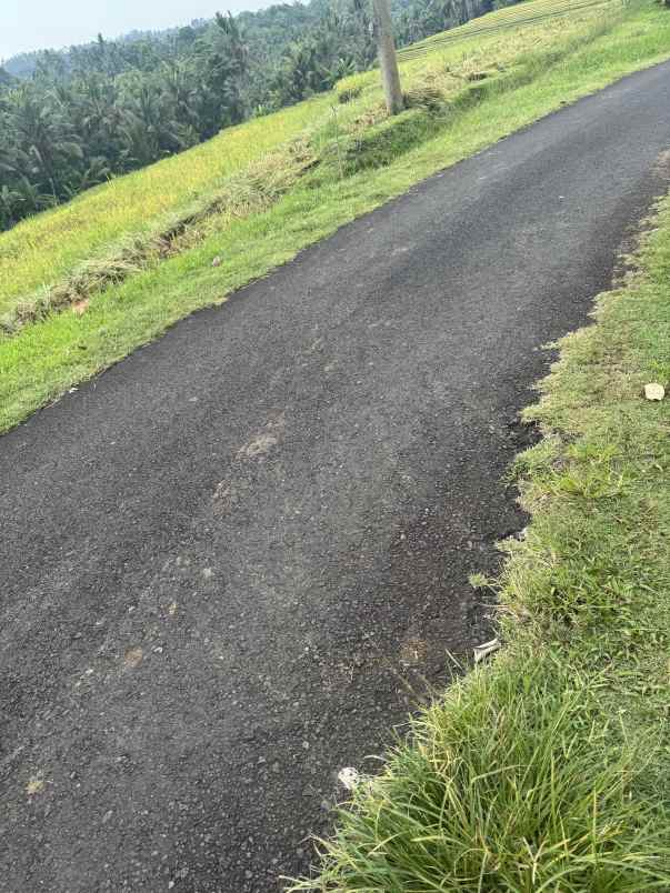 tanah view sawah zona kuning