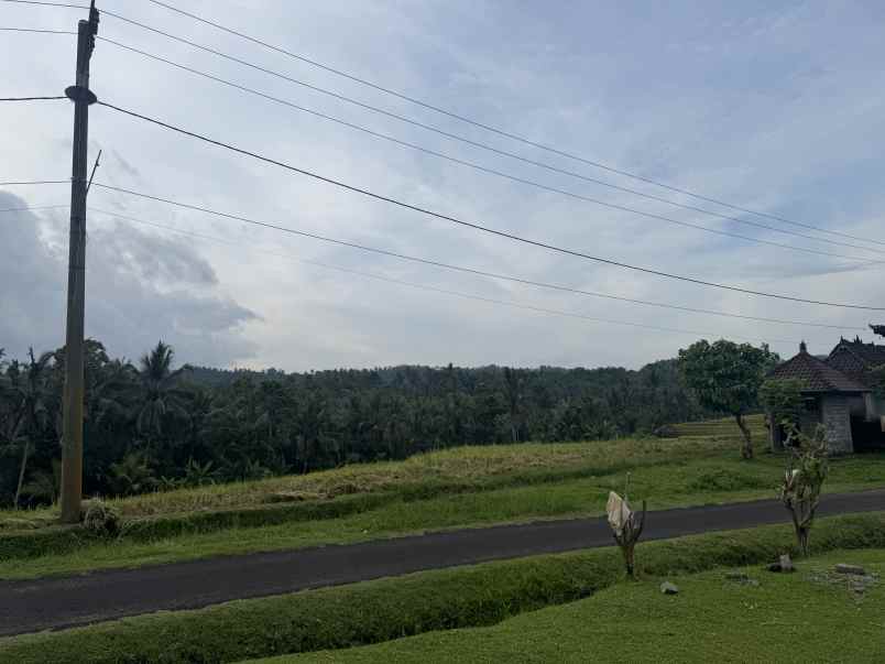 tanah view sawah zona kuning