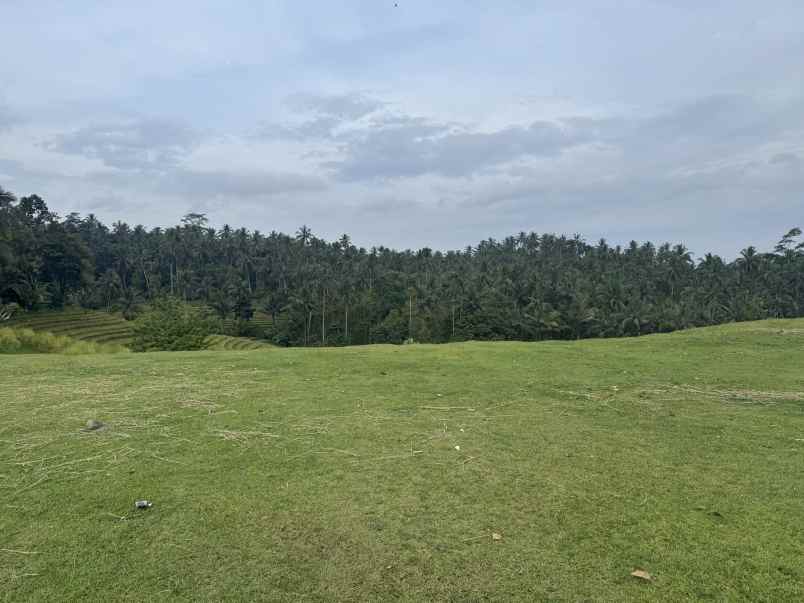 tanah view sawah zona kuning