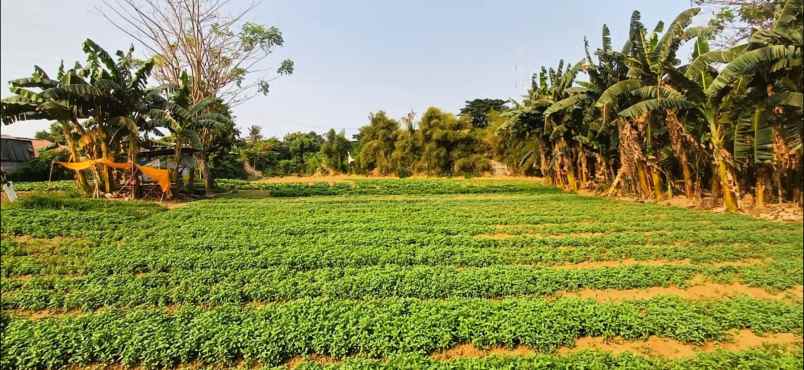 turun harga lahan komersil strategis kota bekasi