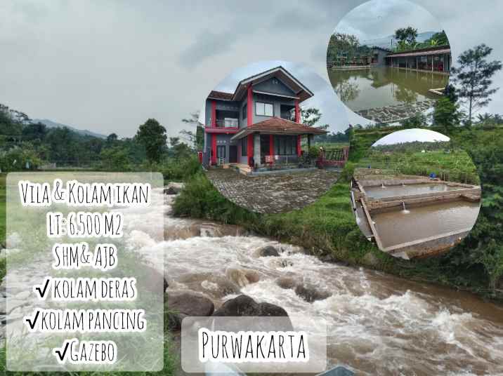 vila dan kolam ikan wanayasa purwakarta