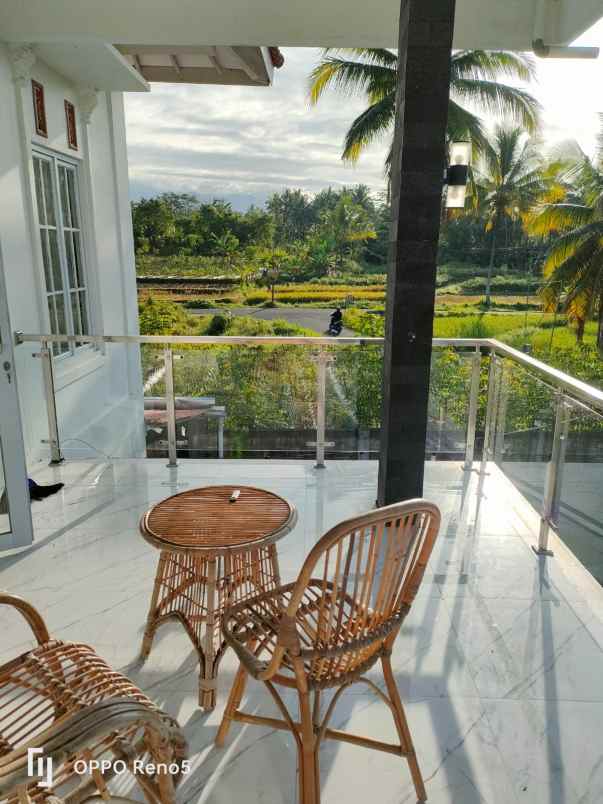 villa omah putih lingkungan persawahan