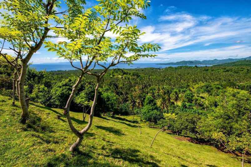 01 dijual lahan lokasi kec manggis karangasem bali